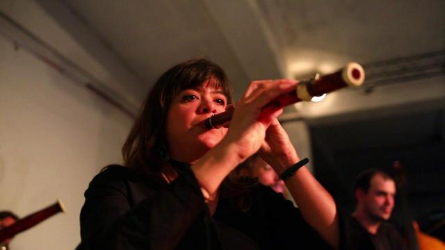 Video of the Insub. Meta Orchestra performing: live ensemble footage with multiple musicians