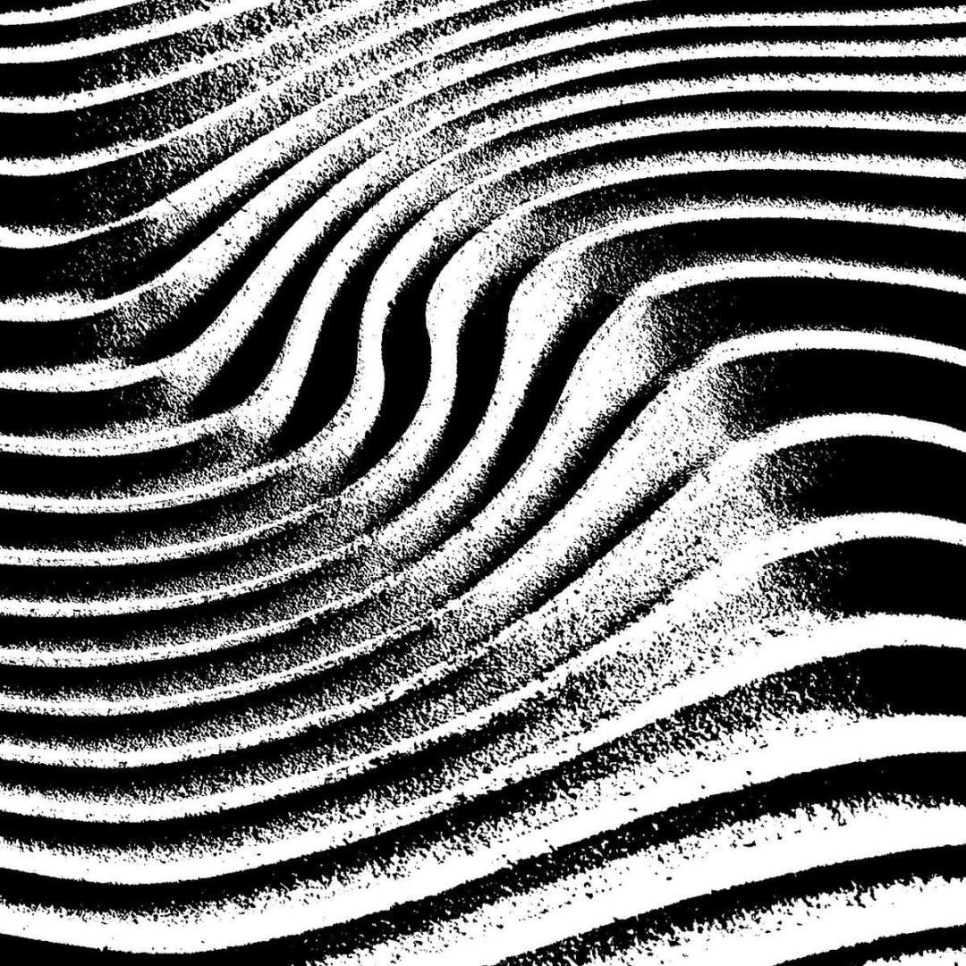 Artwork for the Frequenze Libere album by Forbidden Color: illustration of black-and-white sand waves, undulating patterns, high-contrast textures suggesting movement