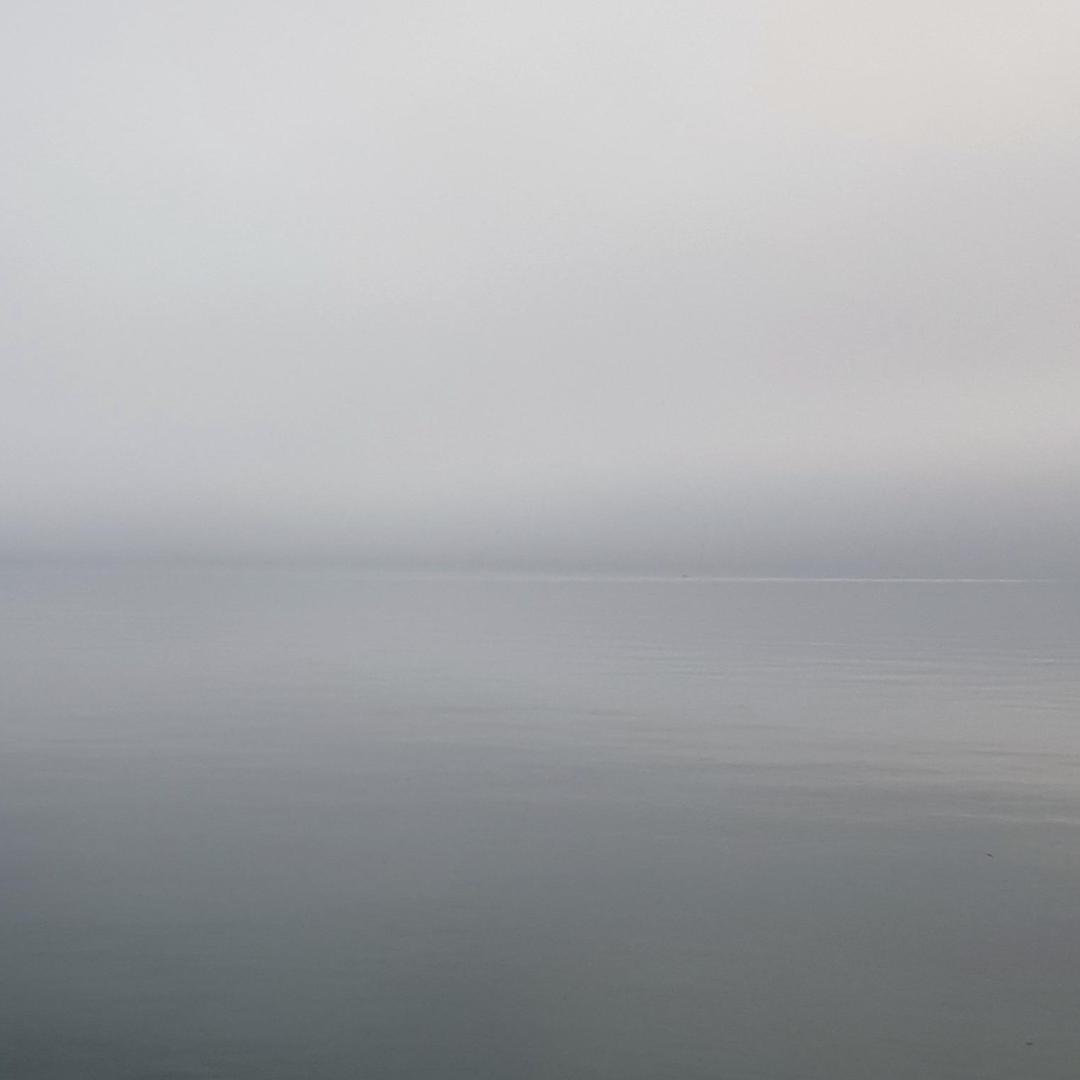 Artwork for the Lingua del Sì album by Forbidden Color: illustration of an empty grey sea, minimal horizon, subtle texture, muted tones conveying solitude