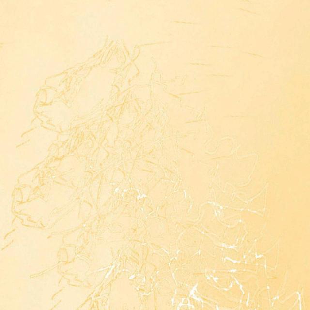 Artwork for the Interfolding Pieces album by Motta Monchocé: illustration evoking gold-leaf-inspired highlights